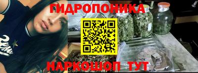 крисы Анжеро-Судженск