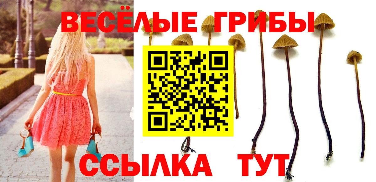 Полысаево  Галлюциногенные грибы MAGIC MUSHROOMS  Вход с VPN 